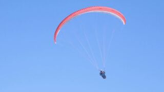paraglider paragliding
