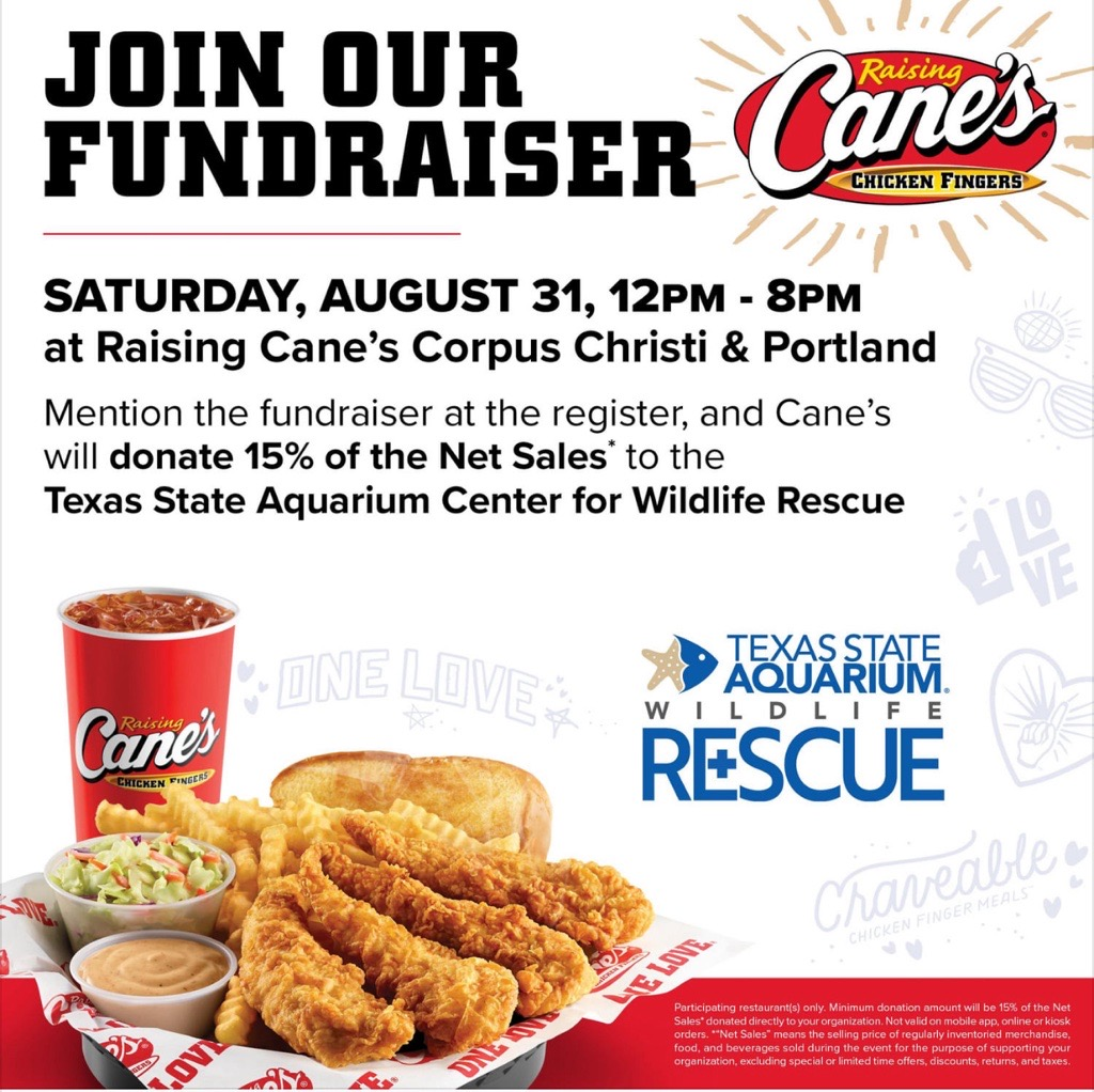 Raising Canes local fundraiser