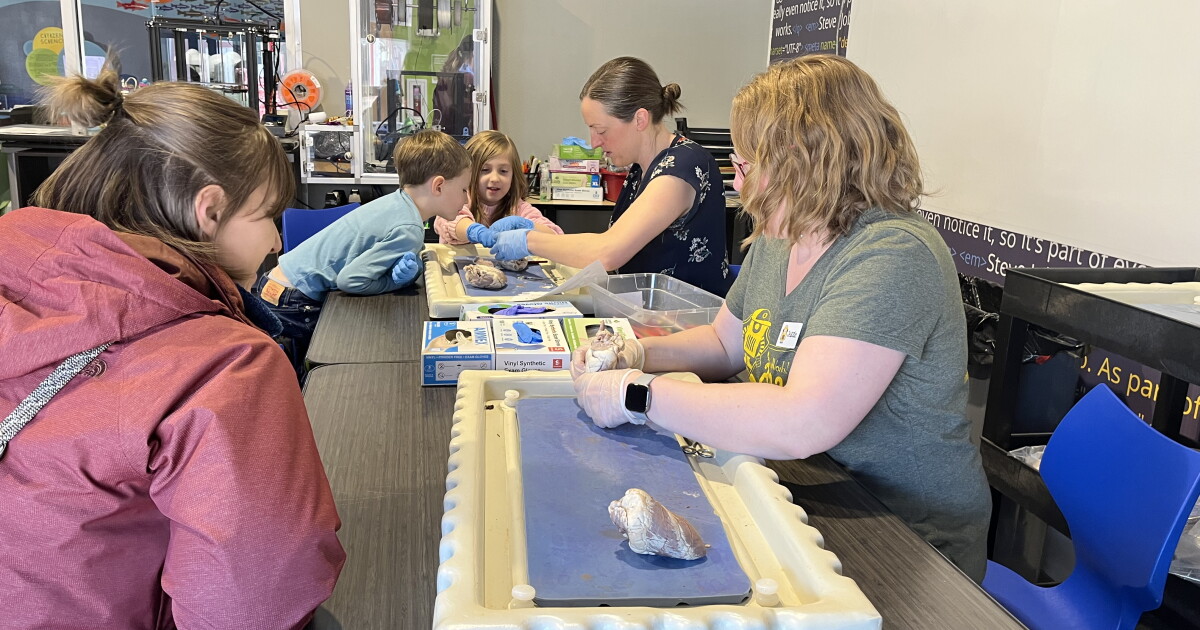 ExplorationWorks gets to the "heart" of biology to teach kids - Vimarsana News