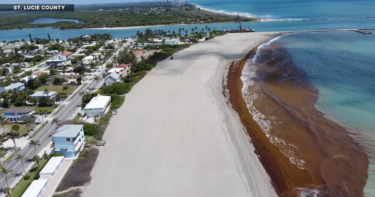 Treasure Coast leaders push for permanent beach erosion solutions after renourishment projects wrap up