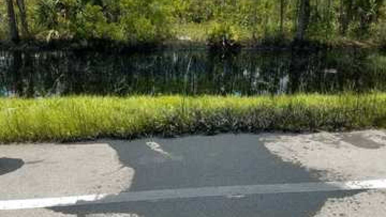 Illegal oil dumping under investigation