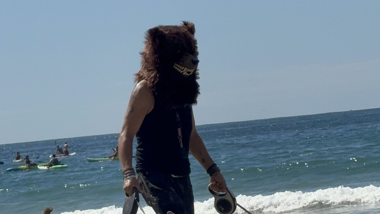 CREDIT: URI MANOR - alleged Bear mask stabber 