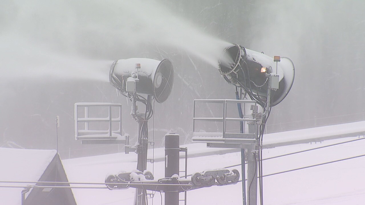2 snow guns.jpg
