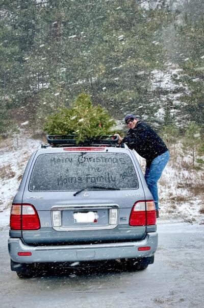 Golden Gate Canyon State Park Christmas tree