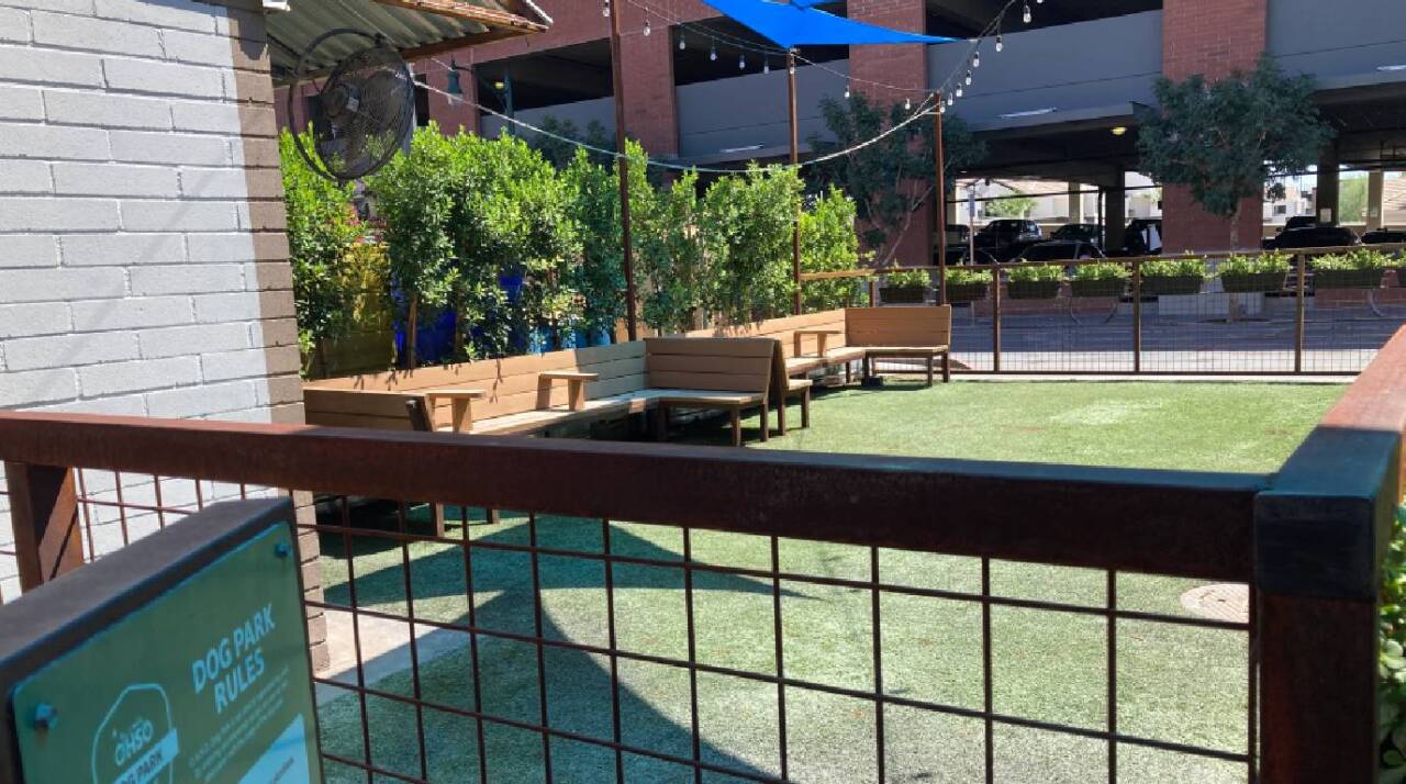 The enclosed dog park.