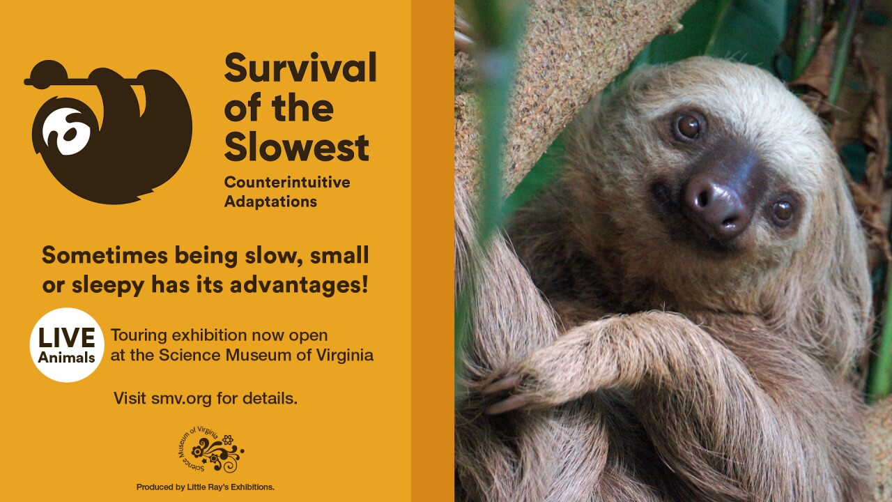 Survival of the Slowest at Science Museum of Virginia