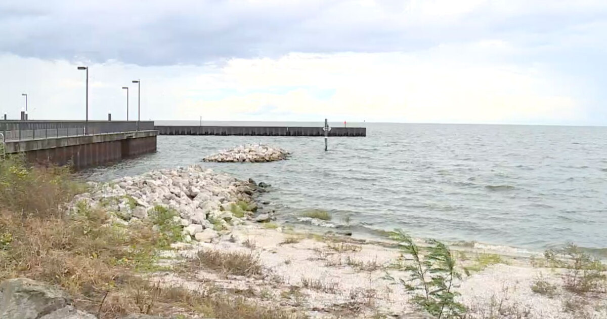 Environmentalists fear impacts ahead of Lake Okeechobee discharges - Vimarsana News