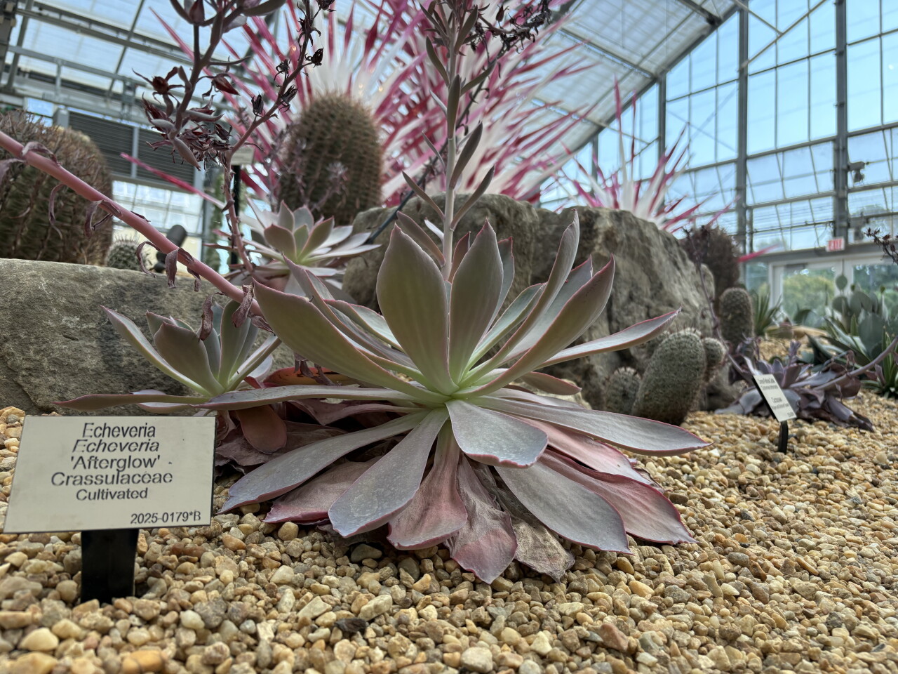 Norfolk Botanical Garden's Garden of Tomorrow