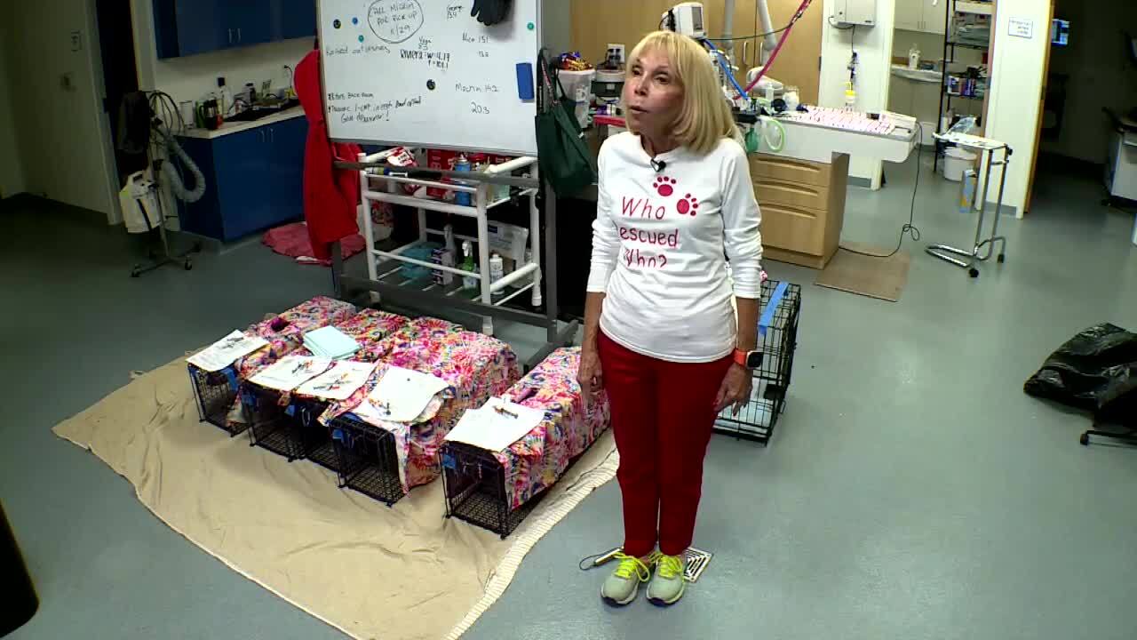 Suzi Goldsmith speaks about charitable donations for Tri-County Animal Rescue