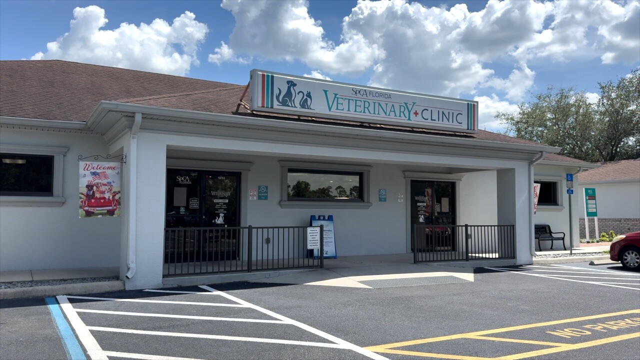 SPCA Florida.jpg