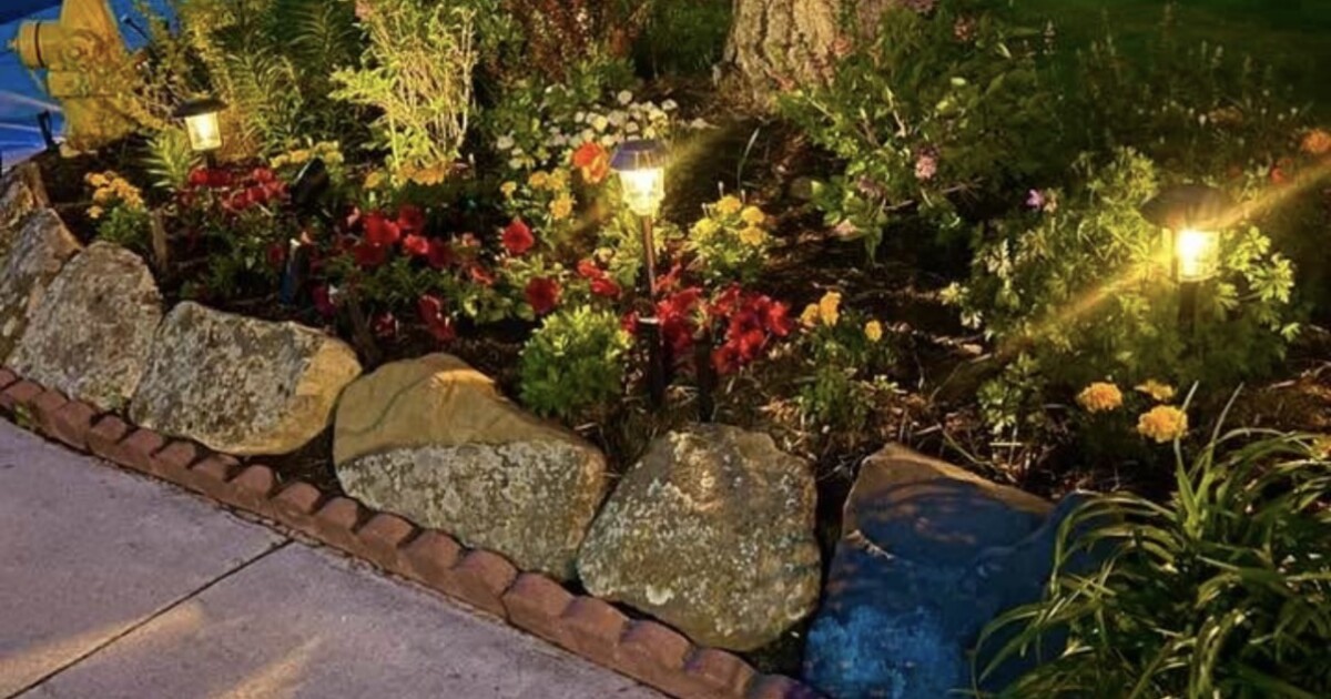 Drought restrictions, warm weather fuel landscaping boom in Denver metro area