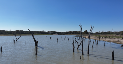 Lake Texana.png