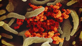 New York reports first coronavirus-related death in state