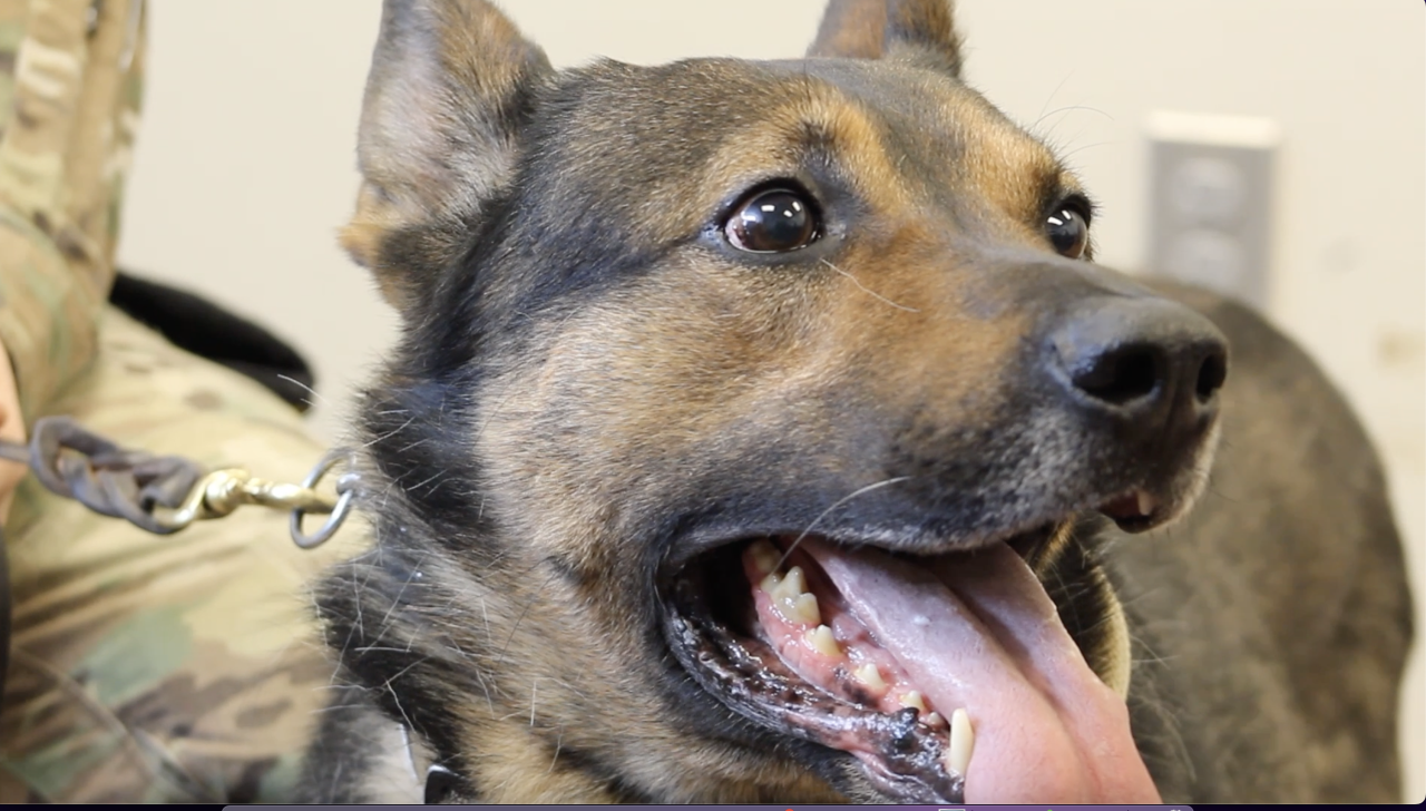 Malmstrom AFB K-9 Unit