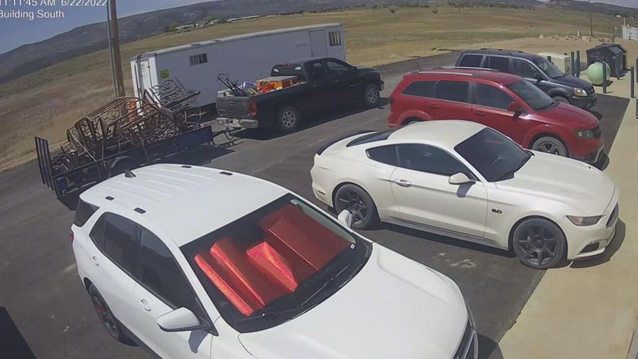 untitled image - 2022-07-07T183731.516.jpg