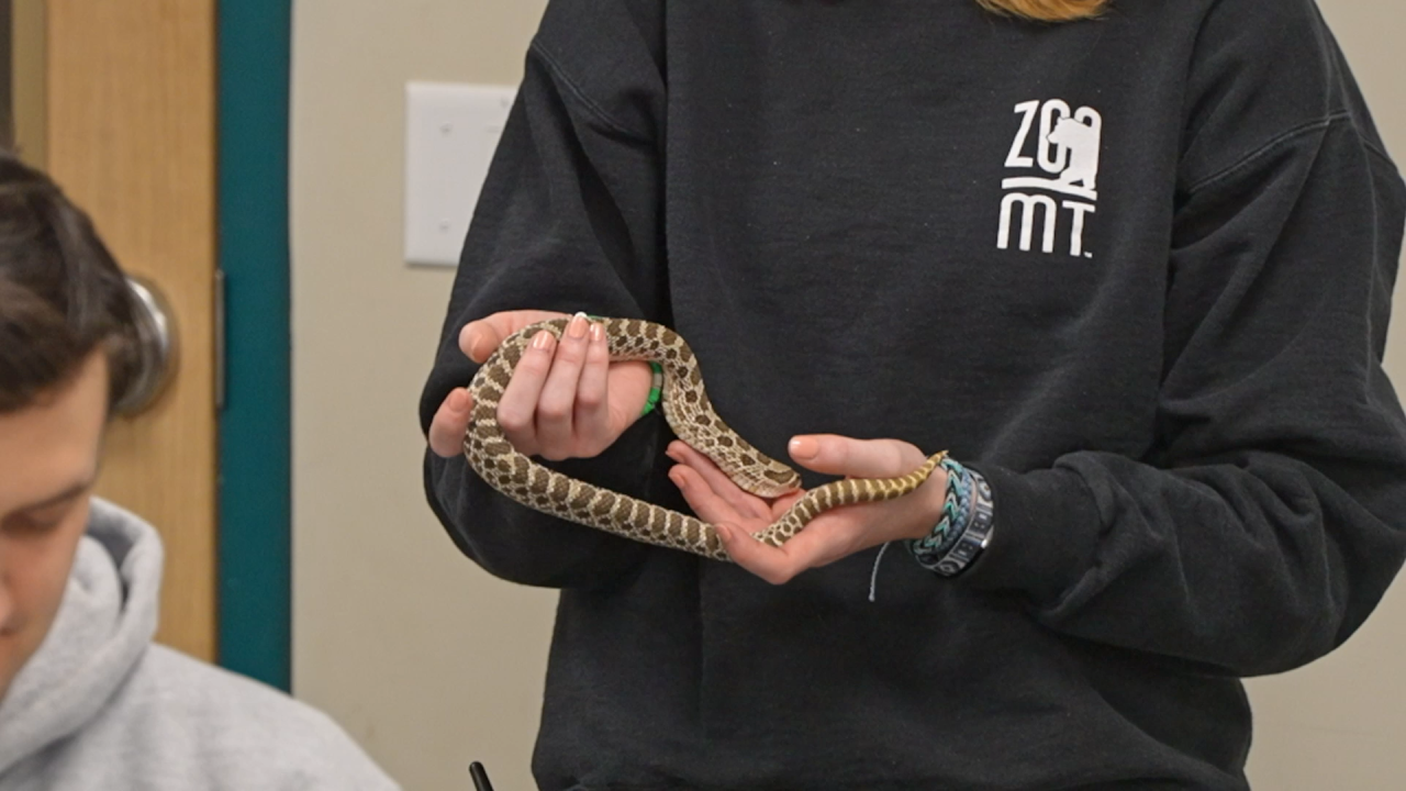 Rocky Vista medical students learn about wildlife