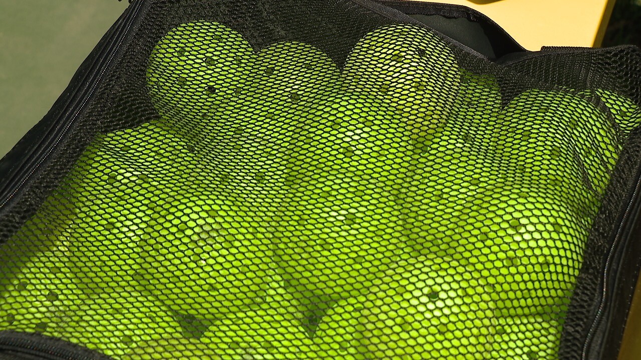 PICKLEBALLS.jpg