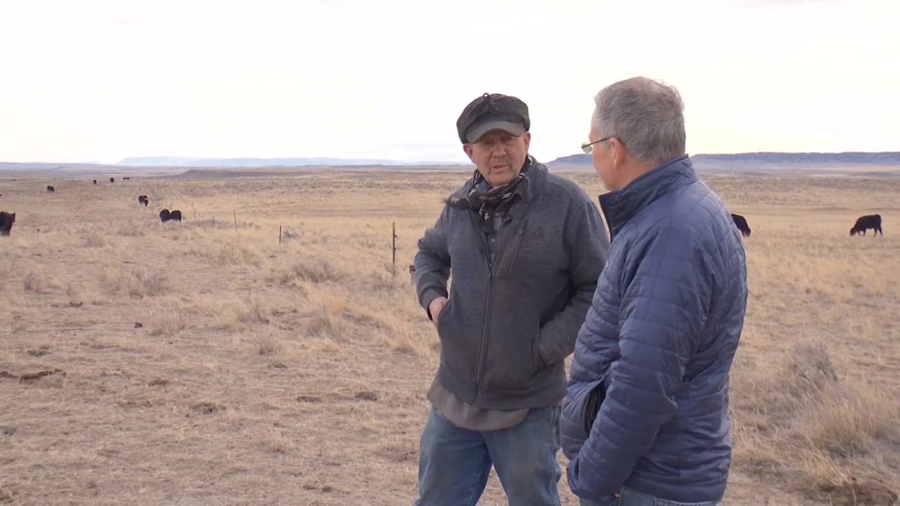 beef prices 2 russ and steve.bmp