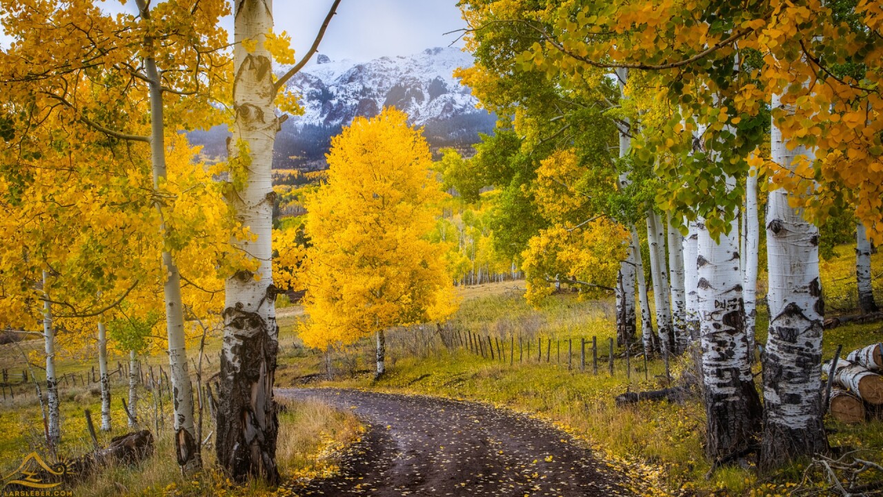 Last Dollar Road Lars Leber Photography 3.jpg