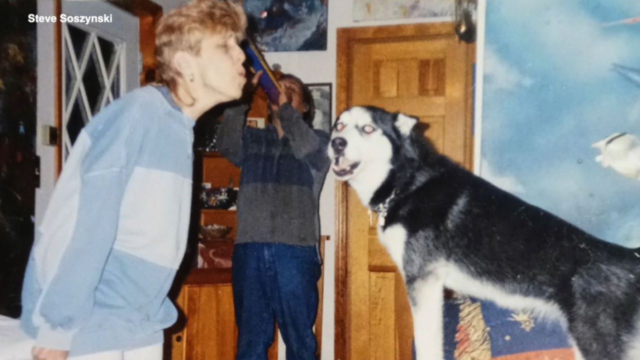 Tullys Tails Steve Soszynski2.png