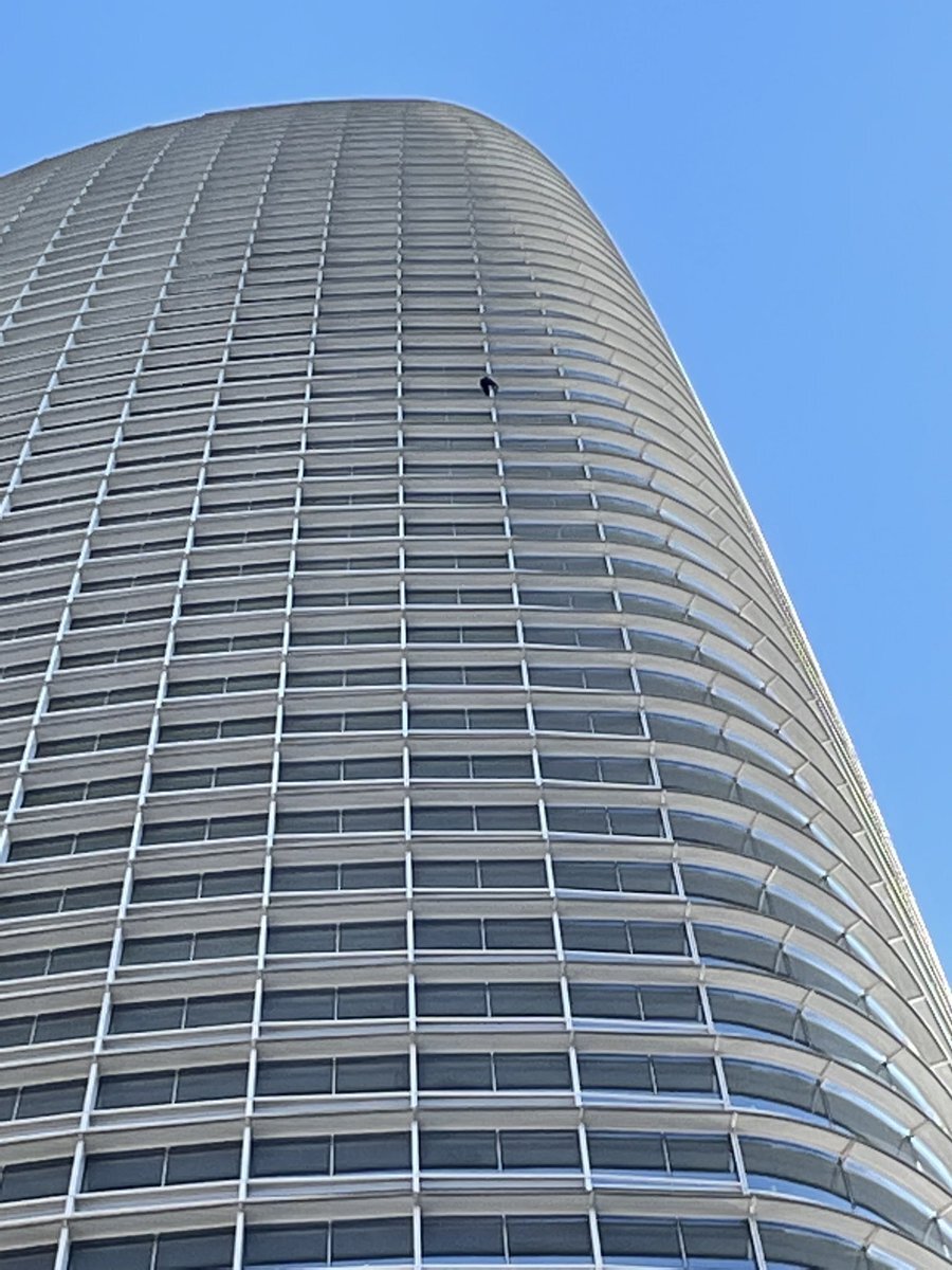 Man climbs Salesforce tower