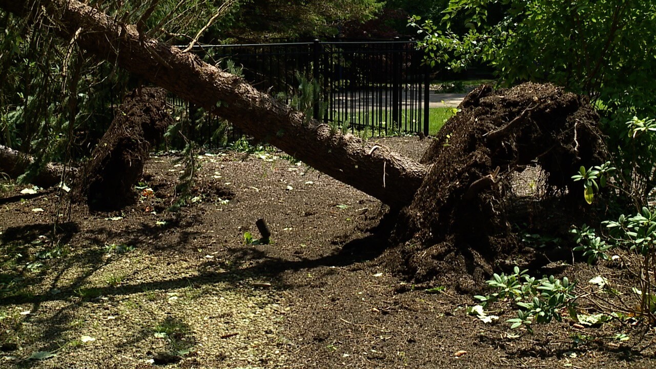 08-07-24 STORM DAMAGE AVON GAULT HOUSE.jpg