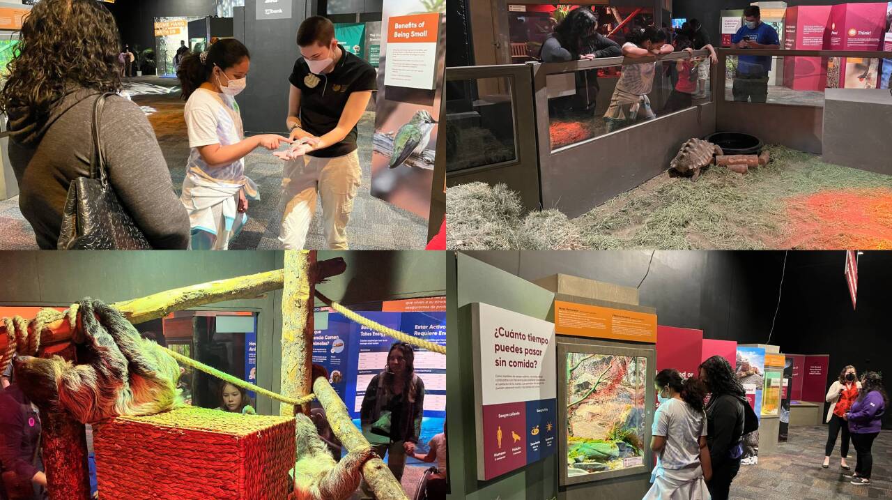 Exhibits at the “Survival of the Slowest” inside The Arizona Science Center.