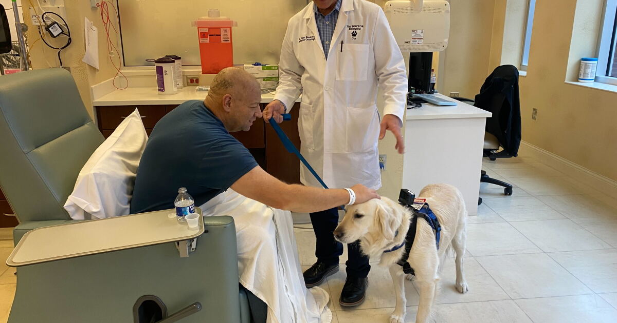 Doctor-therapy dog duo bring joy to Lexington hospital one smile at a time