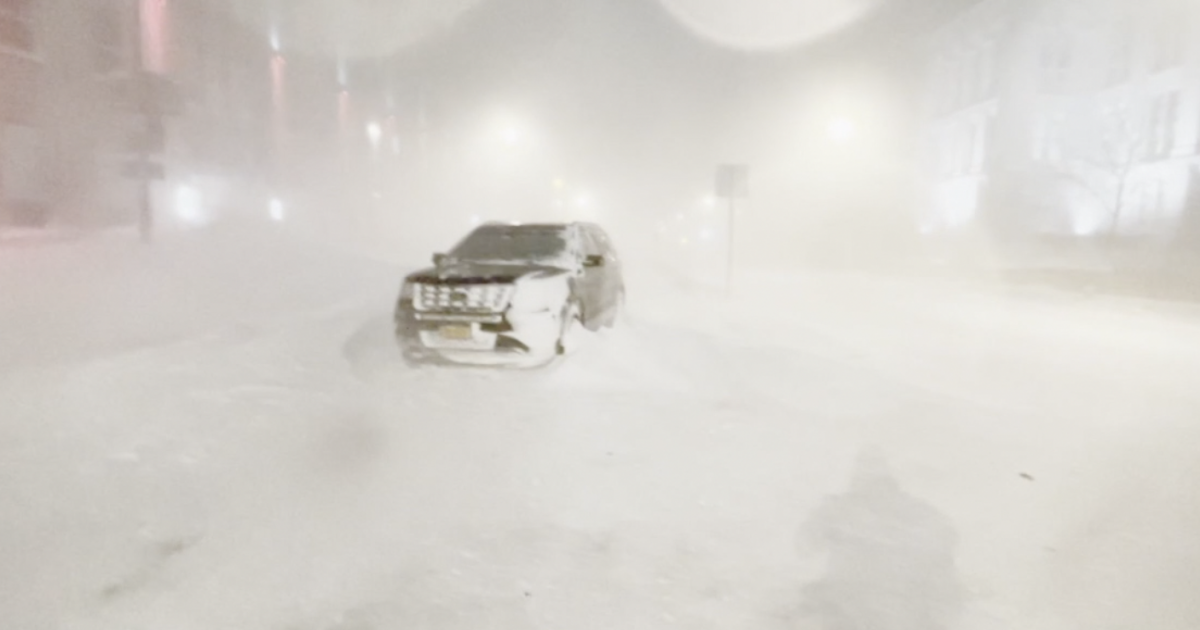 NYU Report shares how City of Buffalo can learn from Christmas Blizzard - Vimarsana News