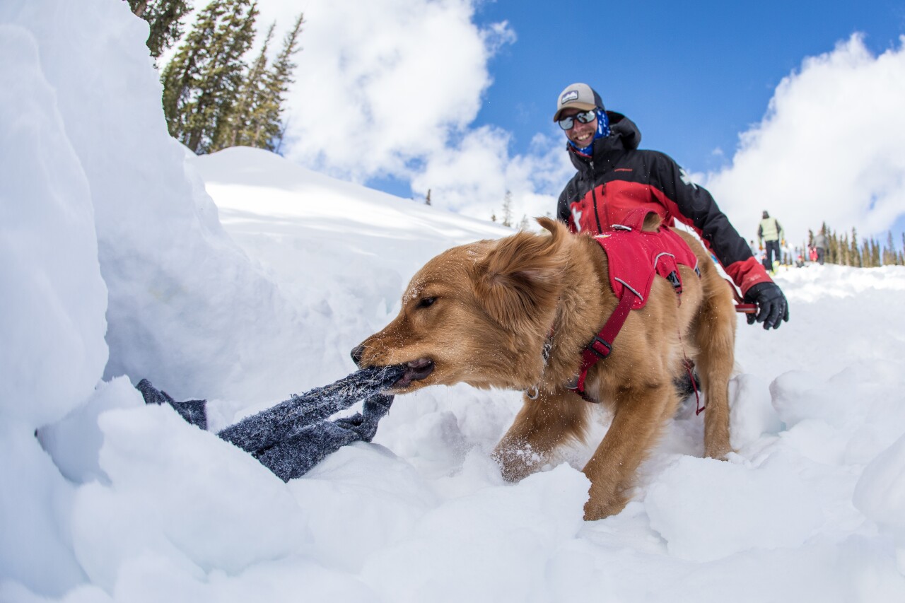 Colorado Rapid Avalanche Deployment Winter 2019 course_Dave Camara