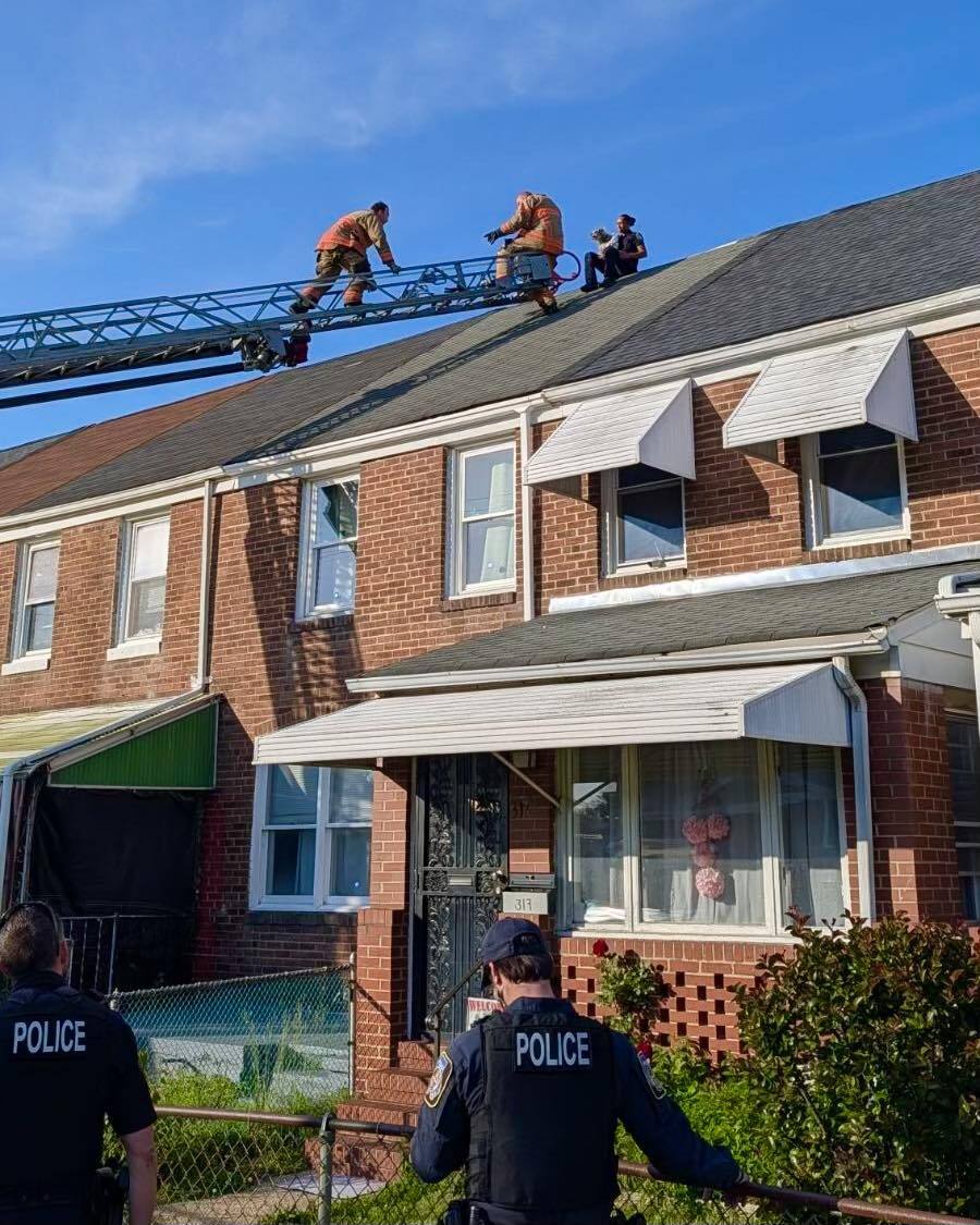 Baltimore County Police Officer Rescues Stranded Dog from Rooftop