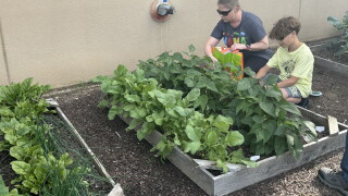 Garden outside of Cleveland Clinic Children's in Akron