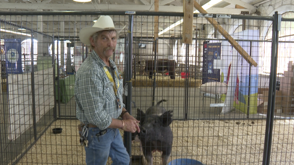 Colorado State Fair