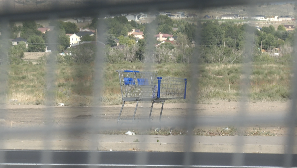 Pueblo Shopping Carts
