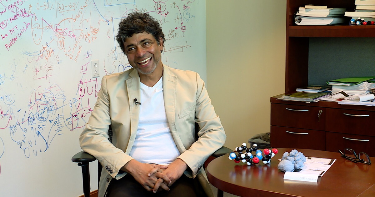 Stowers Institute scientist uses fruit flies to research how memory works - Vimarsana News