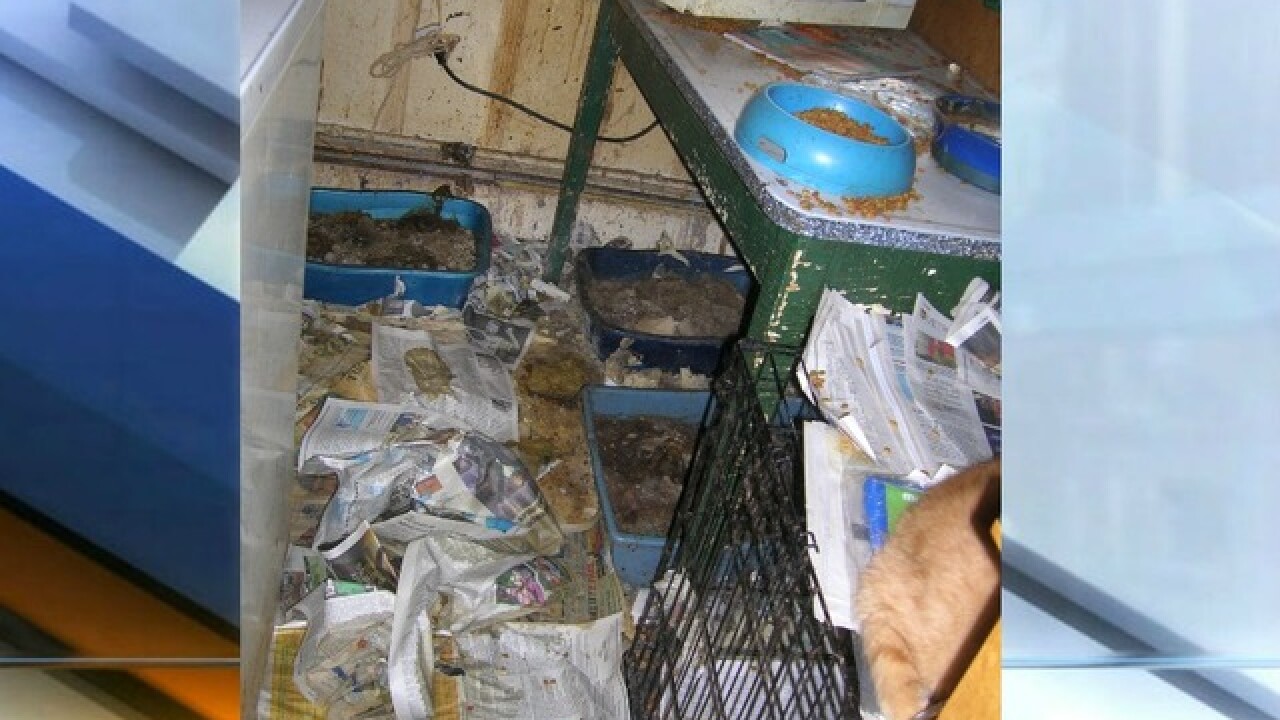 PHOTOS: 14 cats, 3 dogs pulled out of house