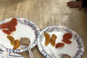 food portions.jpg