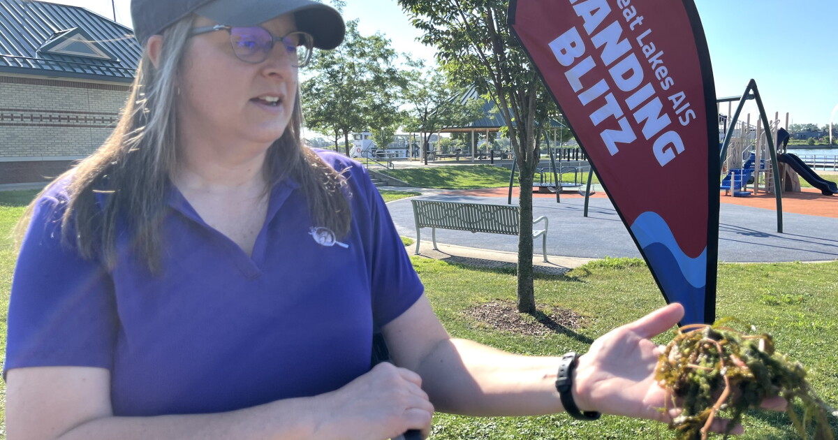 Michigan Launches Aquatic Invasive Species Awareness Week