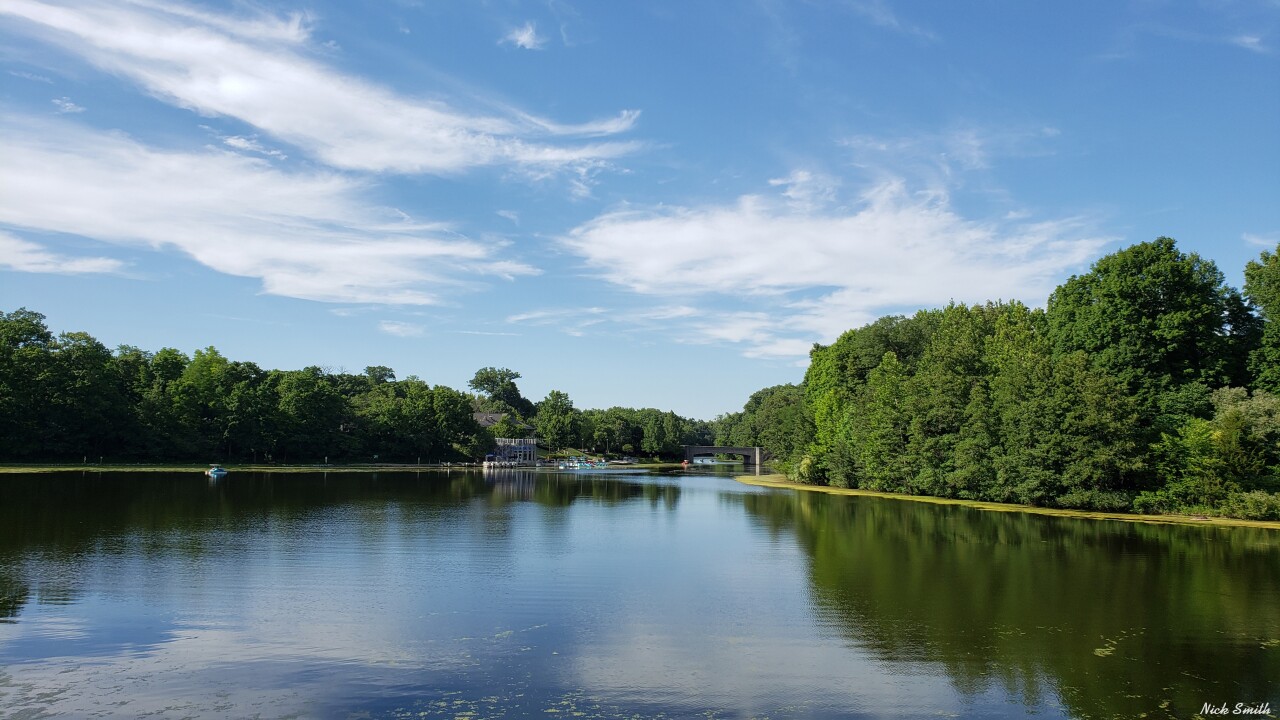 Summer day at Sharon Woods