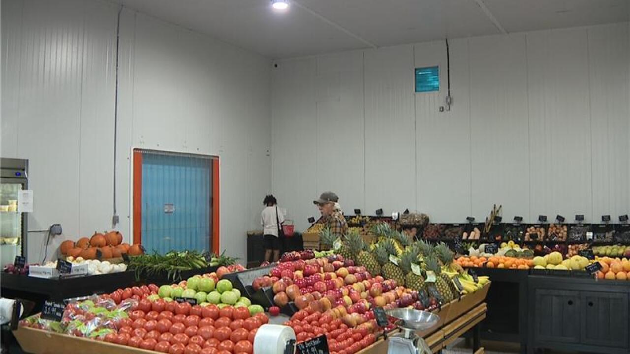 Ruskin siblings turn childhood farm experience into thriving fresh market