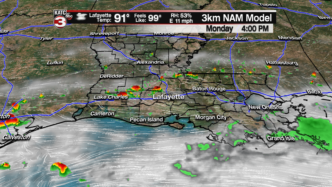 NAM Futurecast Rob.png