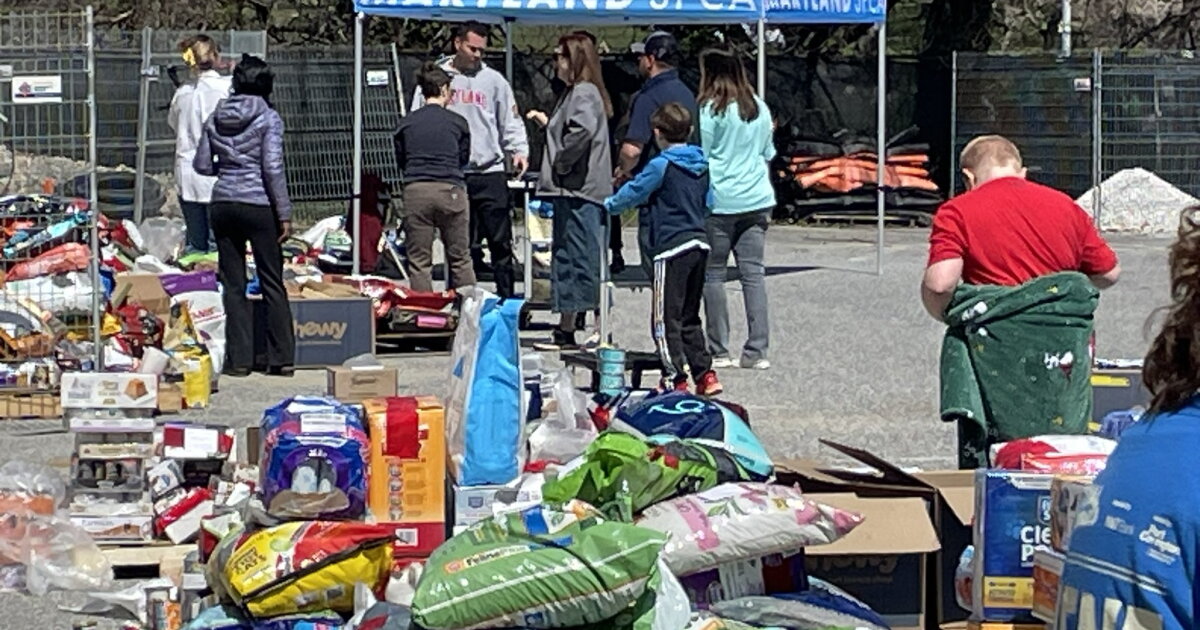 MD SPCA gives away free pet supplies for owners affected by the bridge collapse