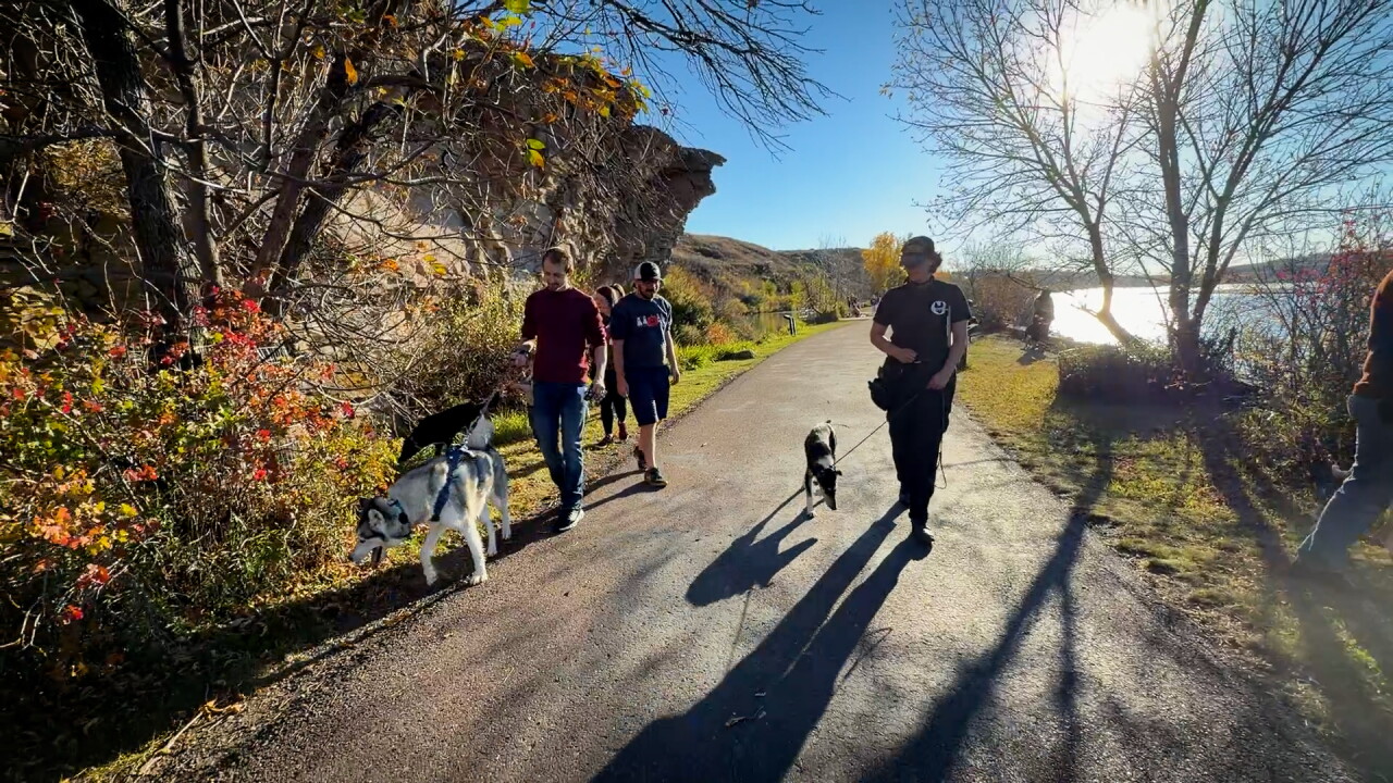 PHOTO FROM THE WALK.jpg
