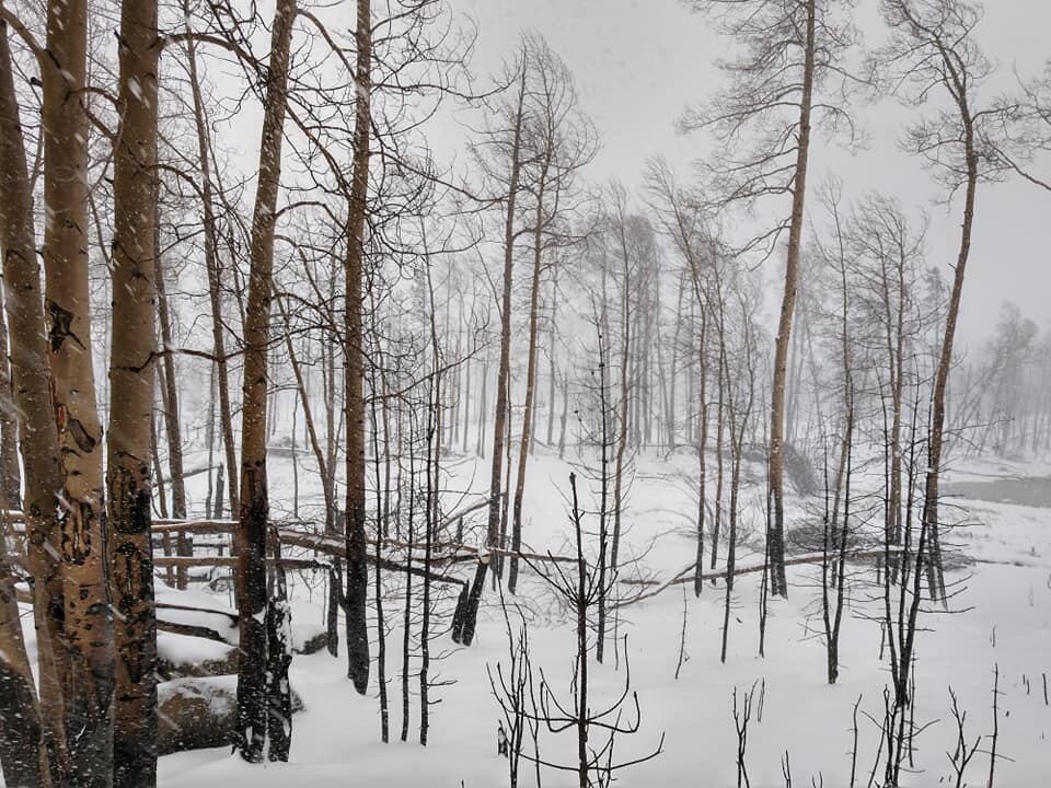 Grand Lake snow on East Troublesome Fire_Oct 25 2020