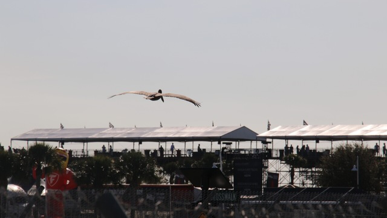 PHOTOS: St. Pete Grand Prix