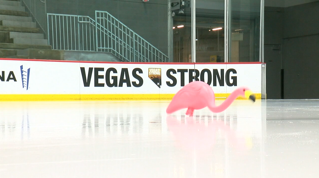 Plastic flamingos now fill the ice rink when the Vegas Golden Knights play, we talk to the fan who started it all.