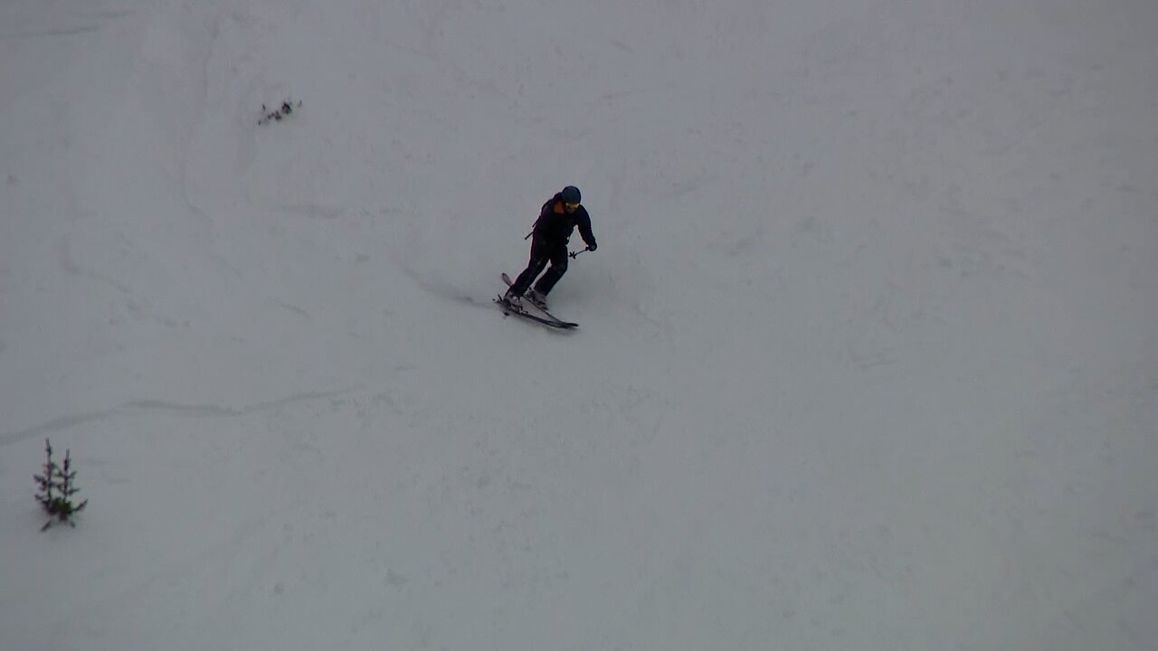skier on Berthoud Pass.jpg
