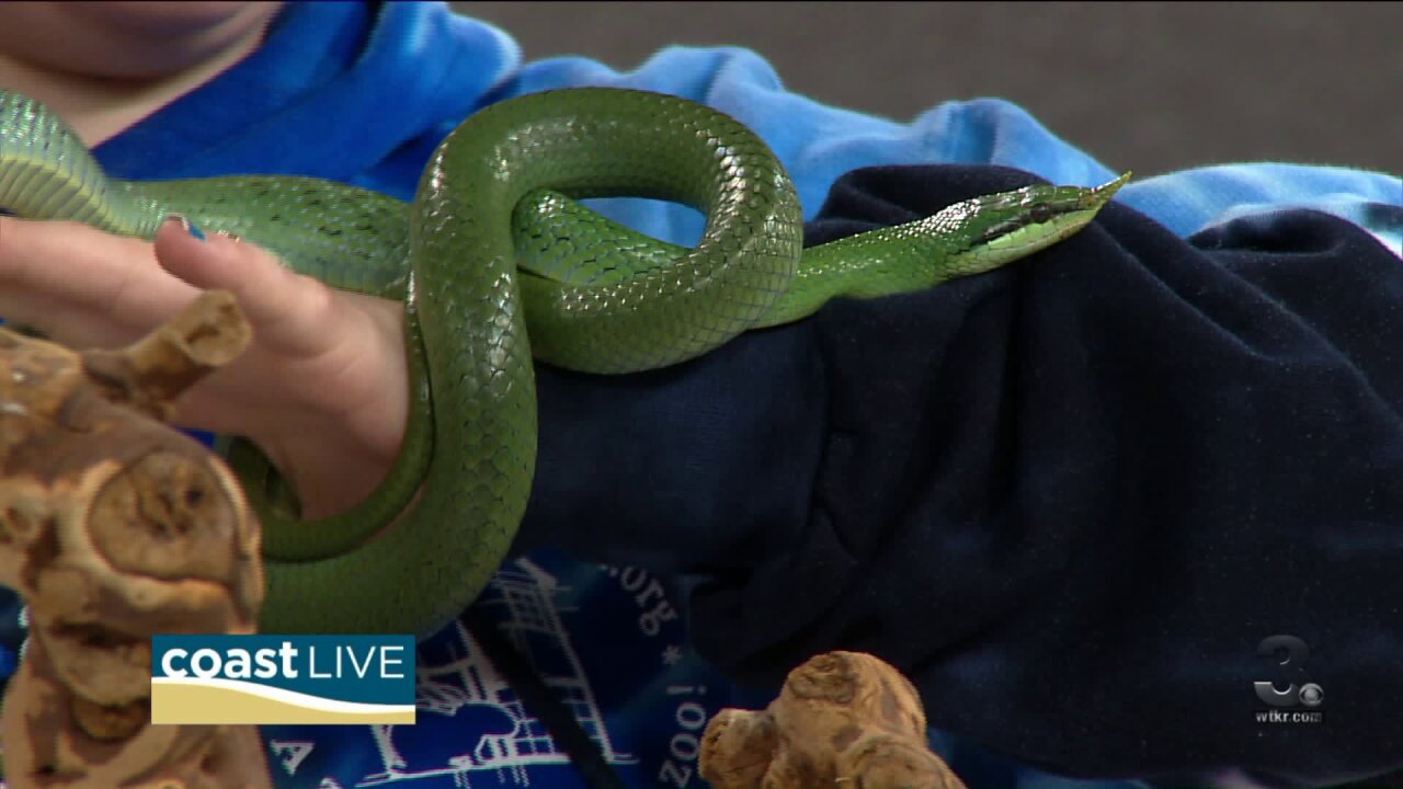 We meet Rufus the hairless rat and Penelope the rhino rat snake on Coast Live