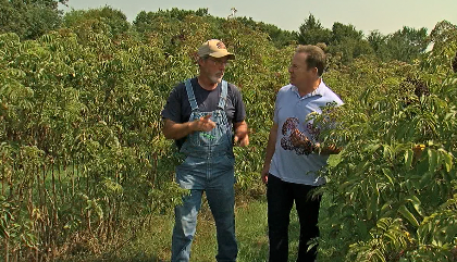 Screen Shot 2021-08-03 at 4.13.24 PM.png