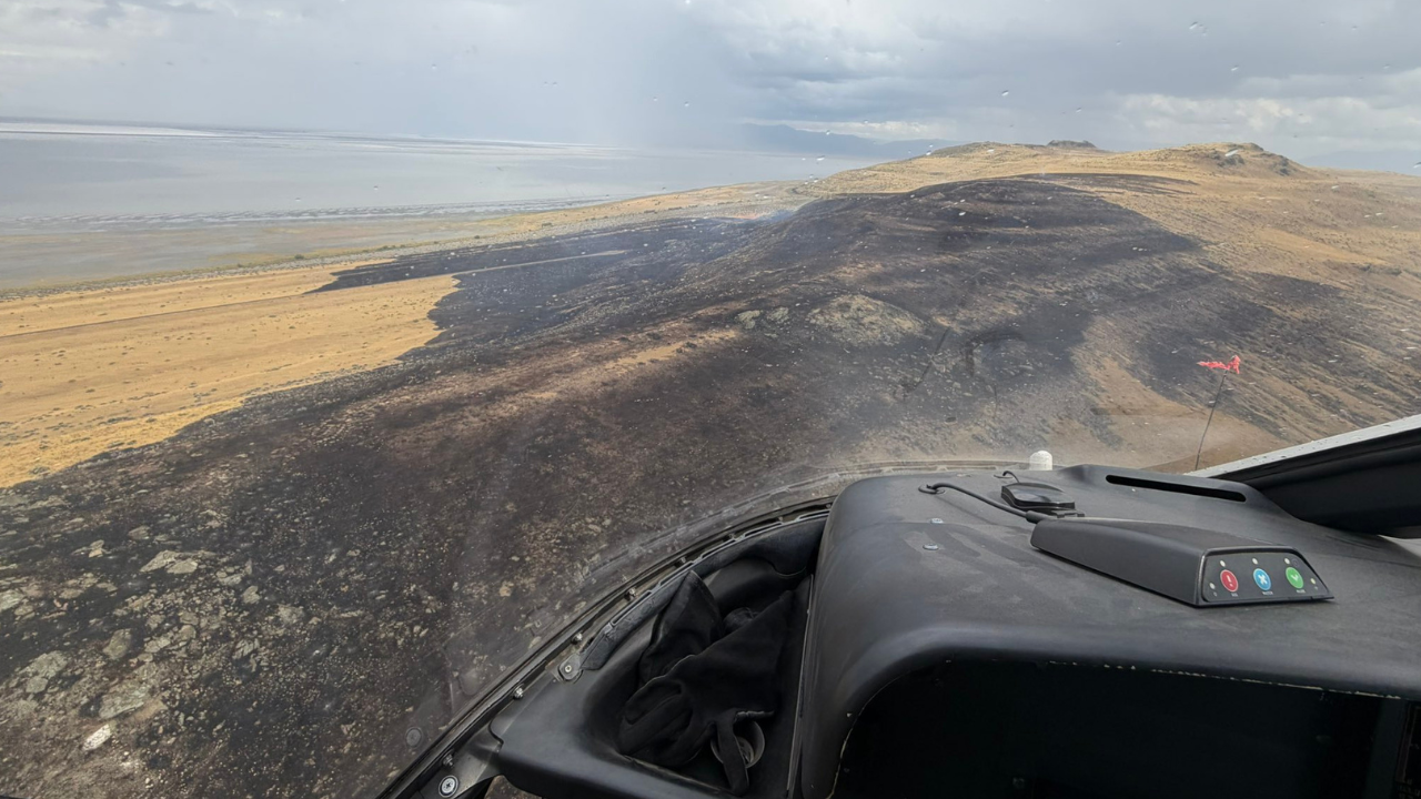 Fremont Fire.png